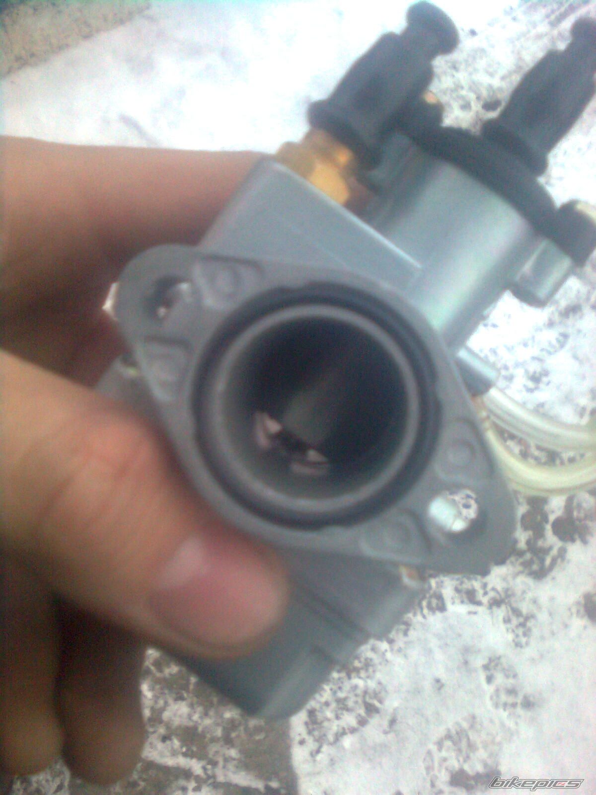 Photo 2499573