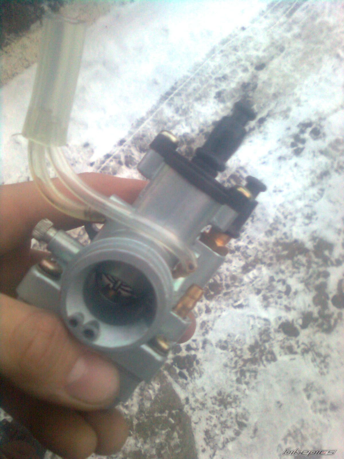 Photo 2499575