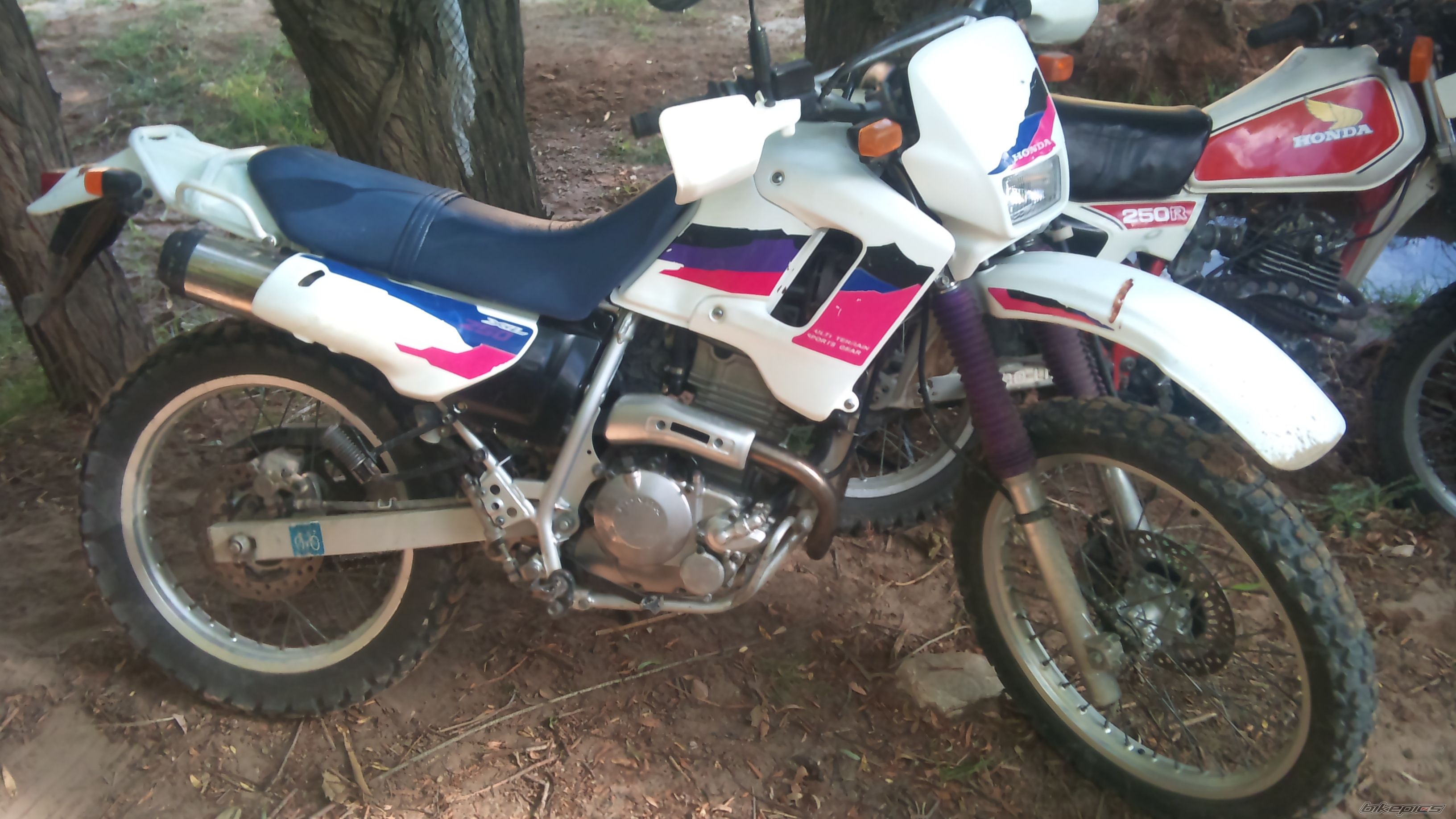 Photo 2499642