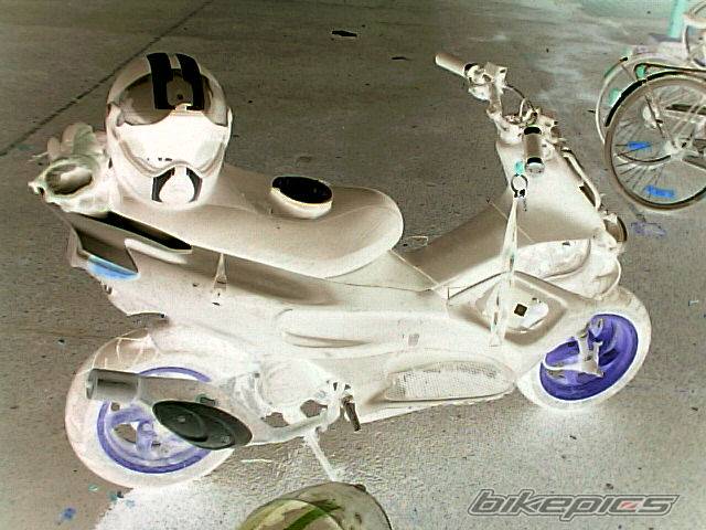 Photo 249969