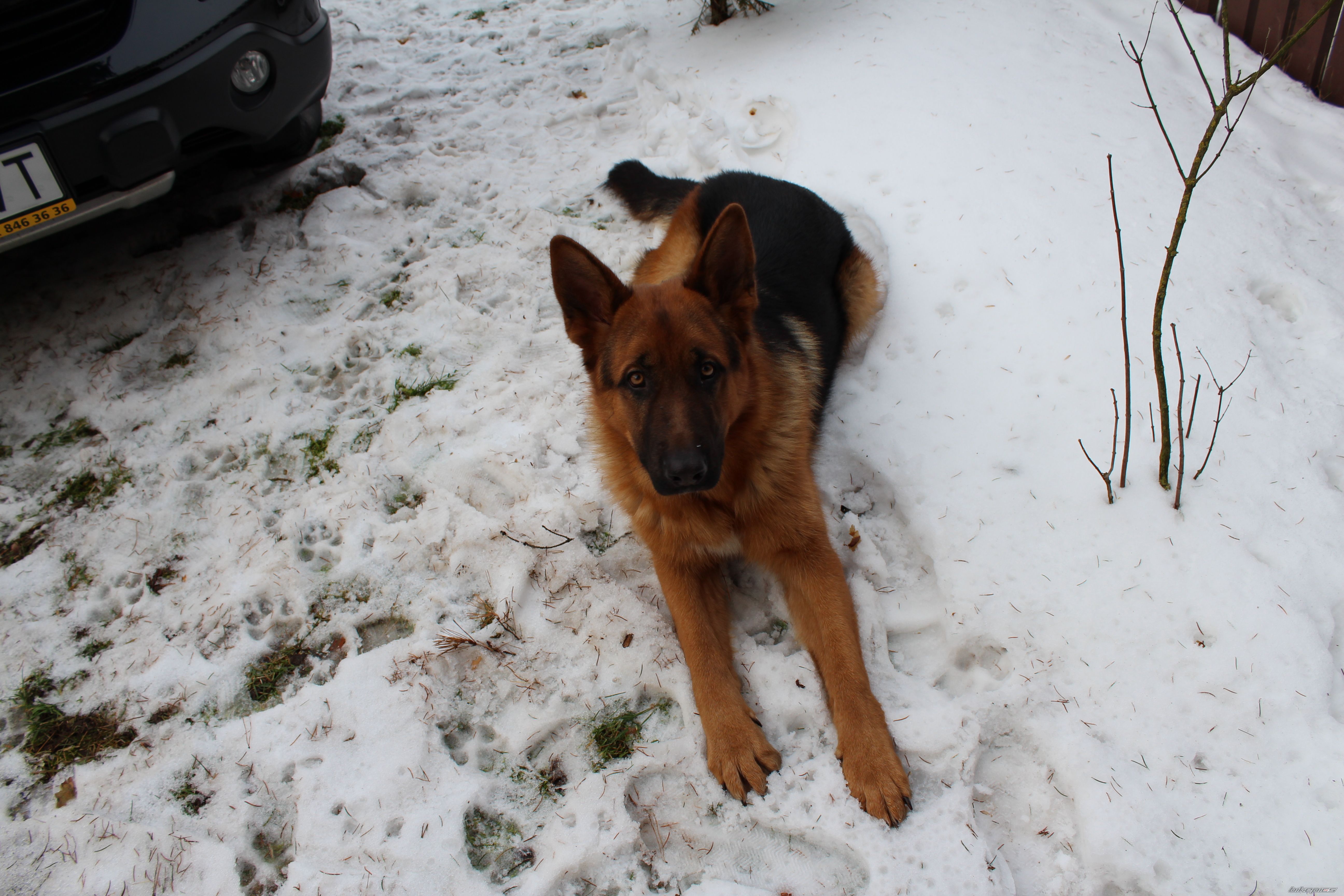 Photo 2499690