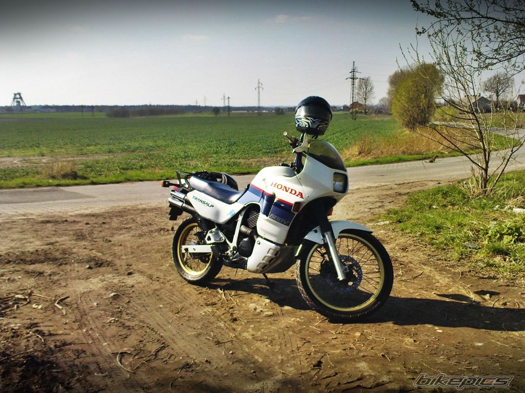 Photo 2499703