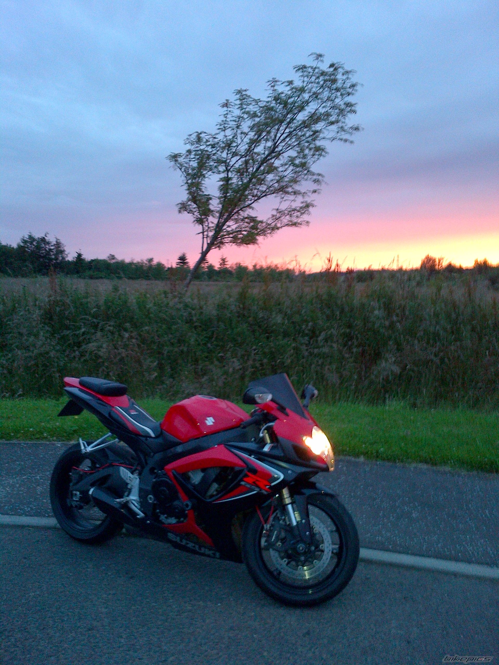 Photo 2499709