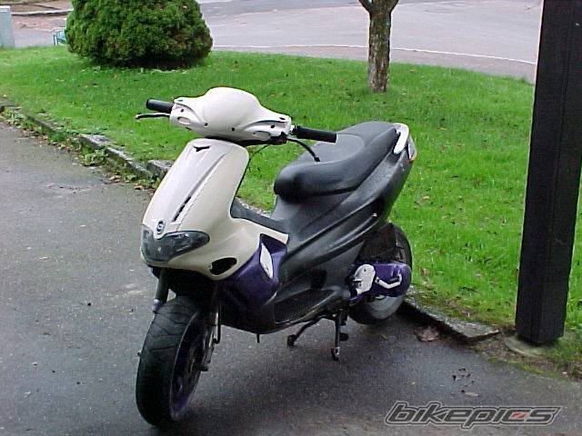 Photo 249971