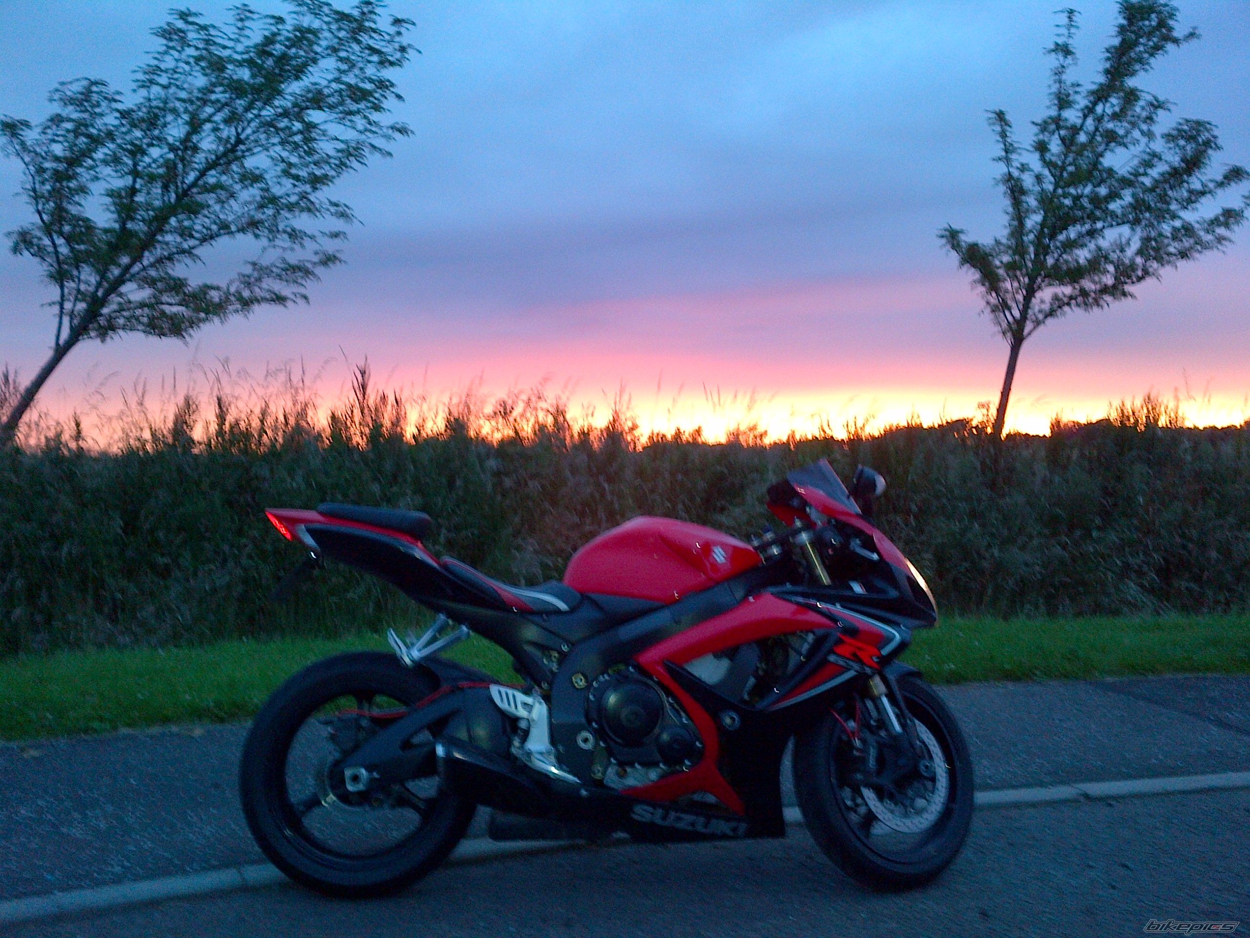 Photo 2499710