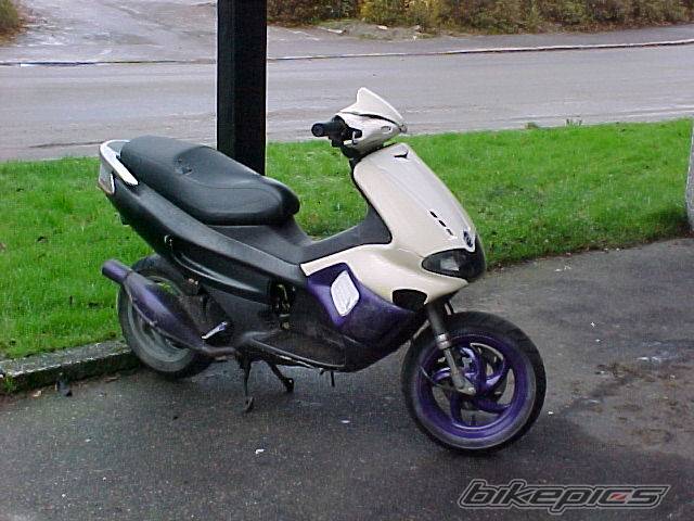 Photo 249972