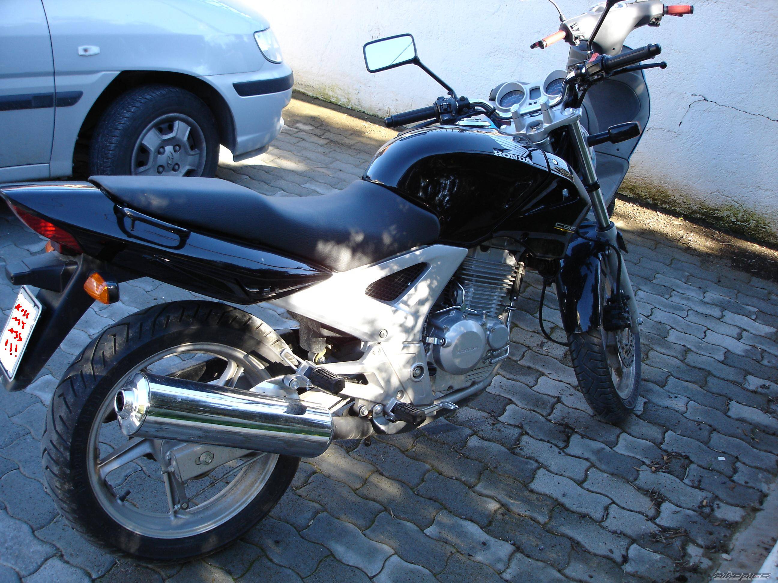 Photo 249975