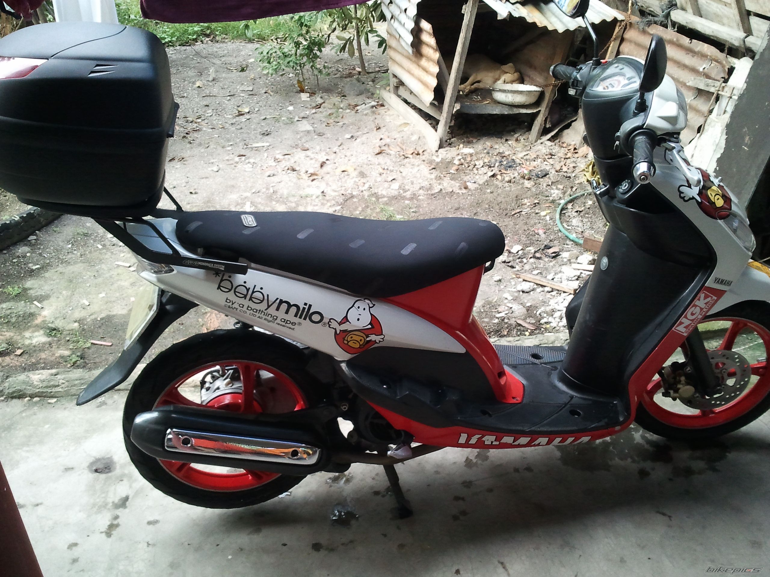 Bike Photo 2499783