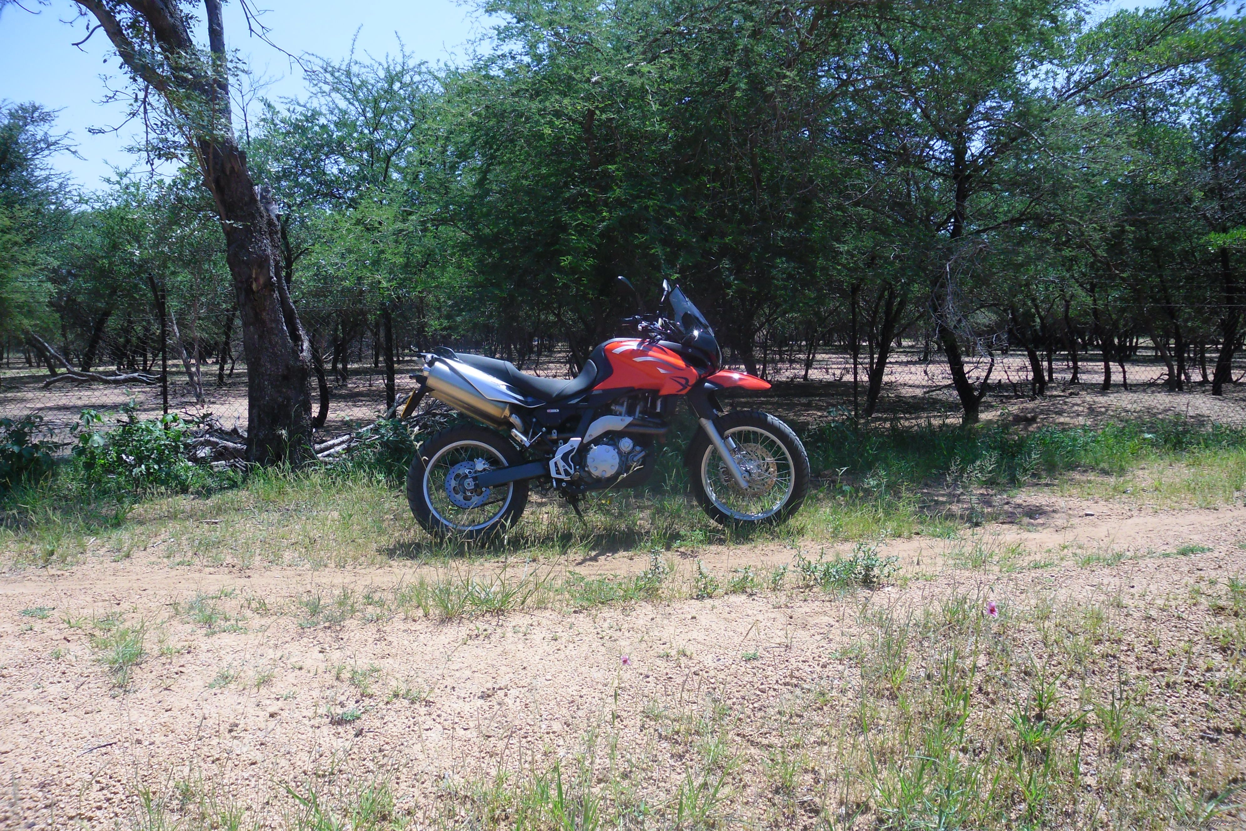 Photo 2499794