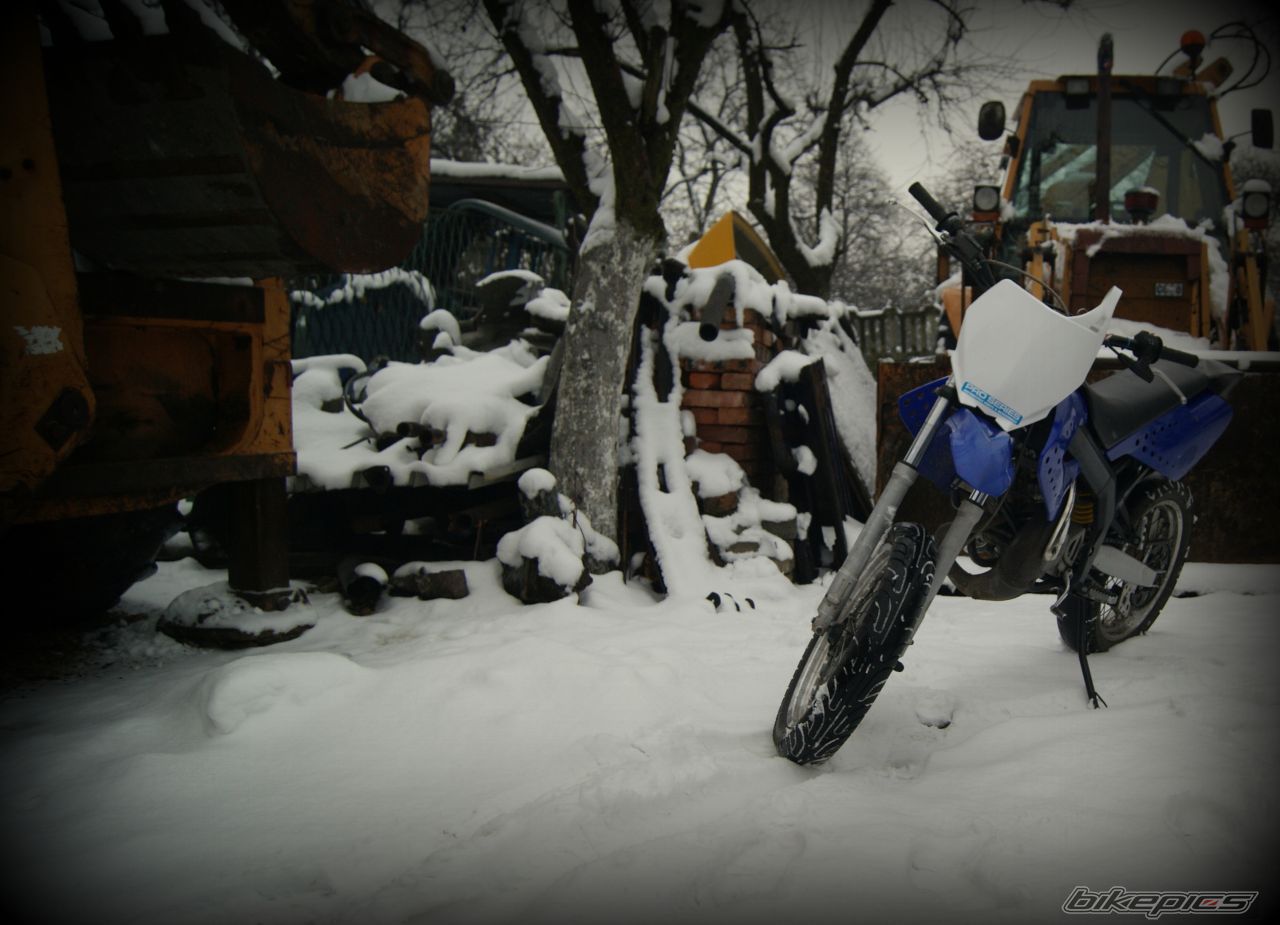Photo 2499870