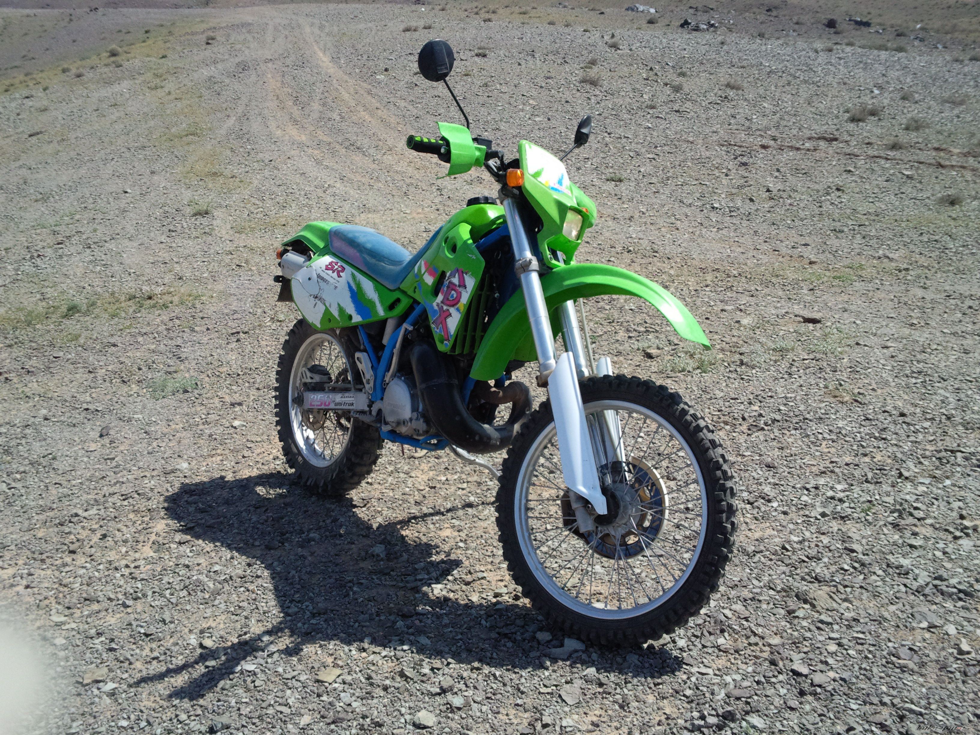 Photo 2499894