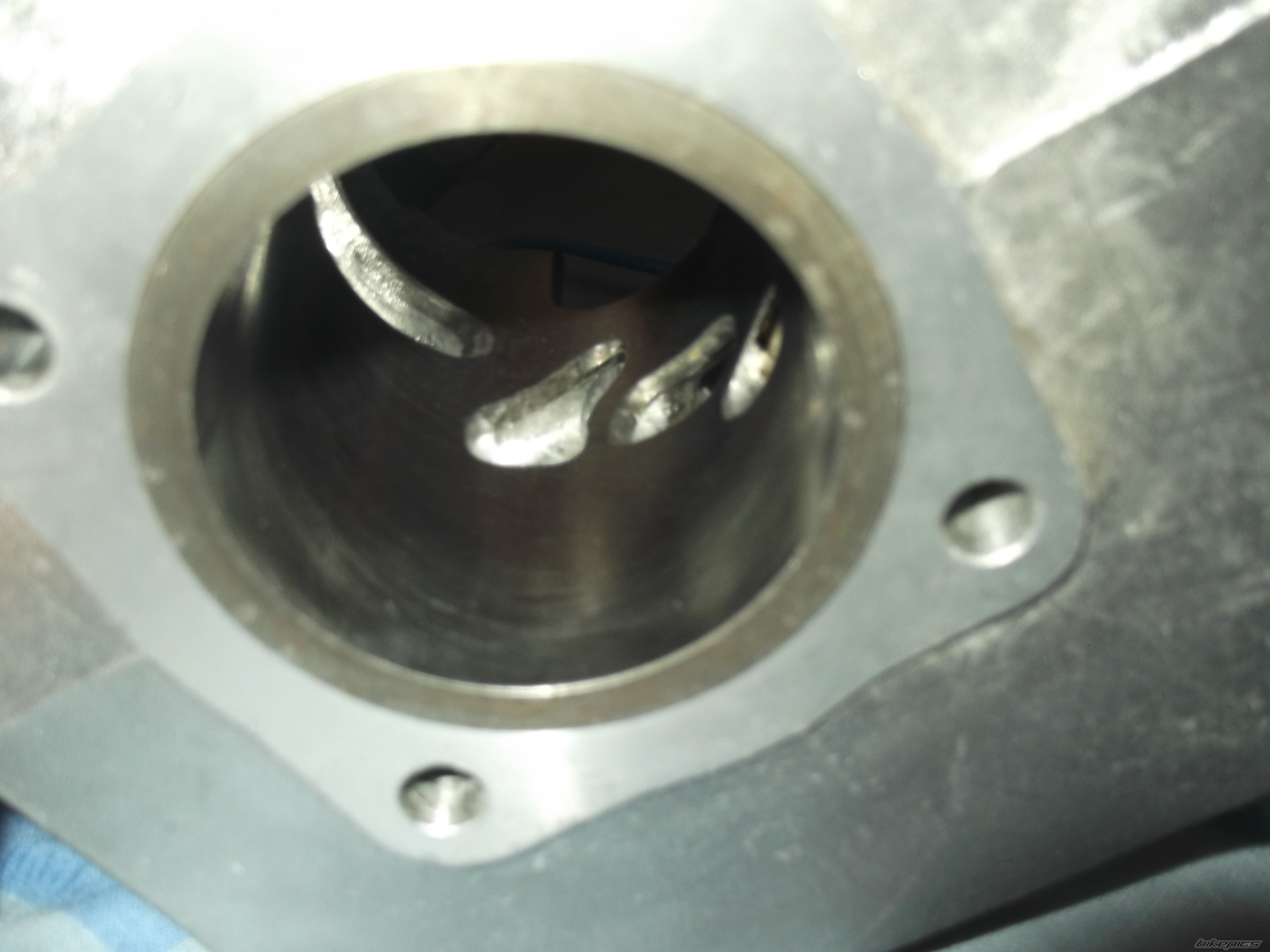 Photo 2499898