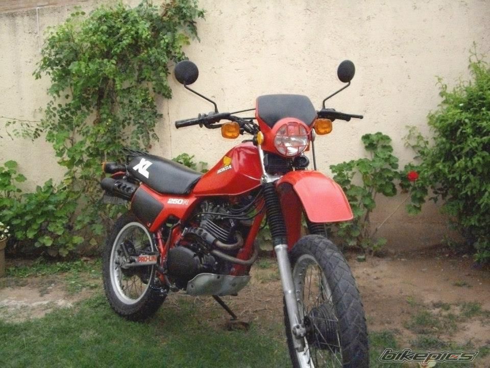 Photo 2499920
