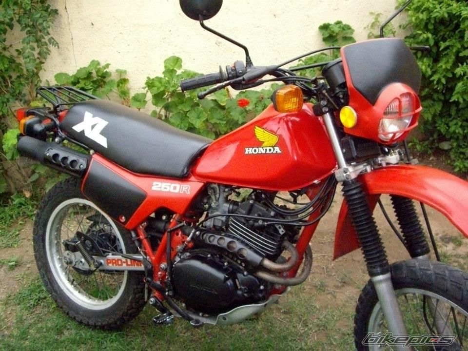Photo 2499922