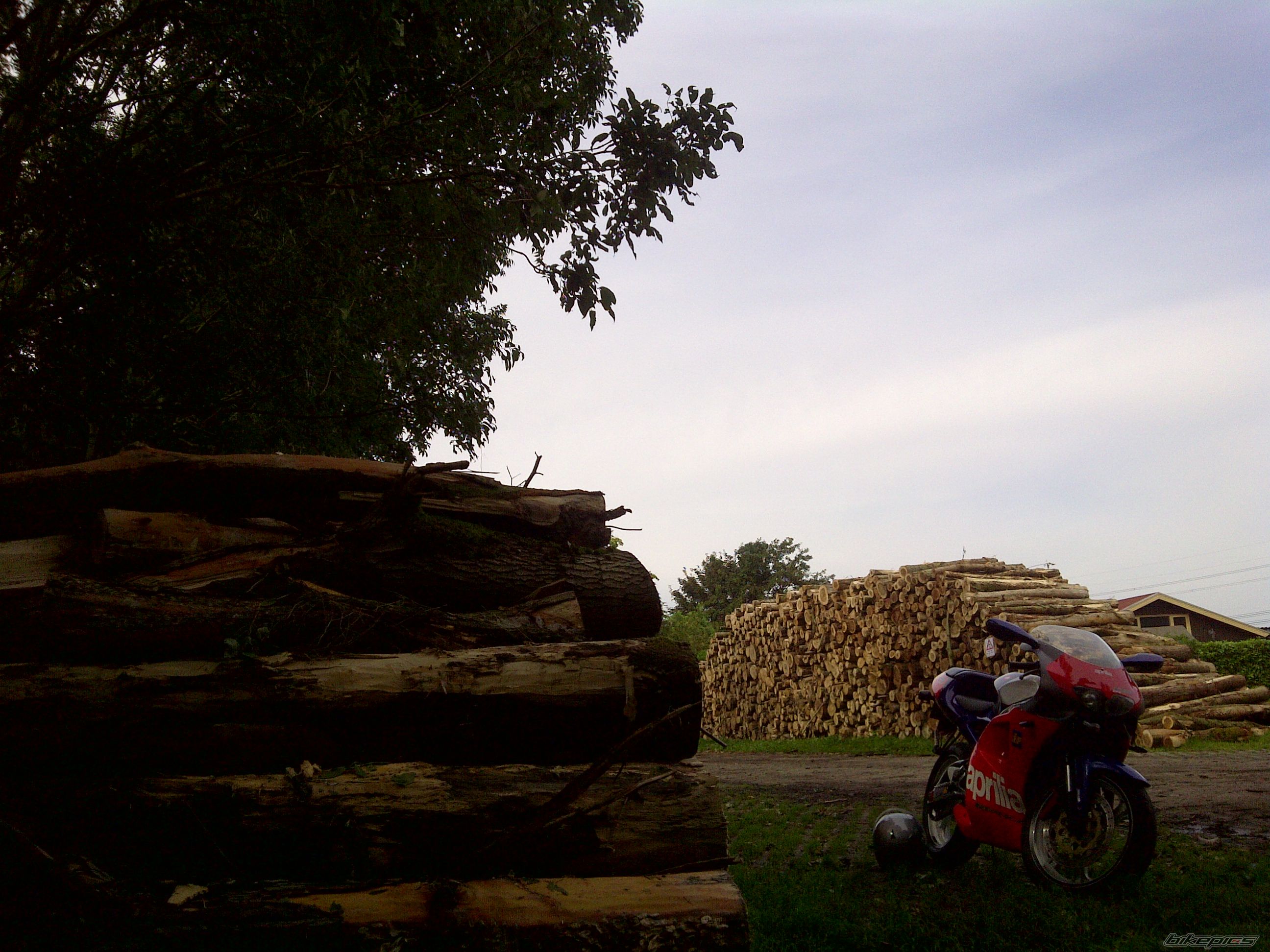 Photo 2500012