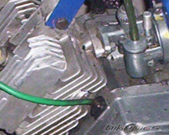 Photo 250007