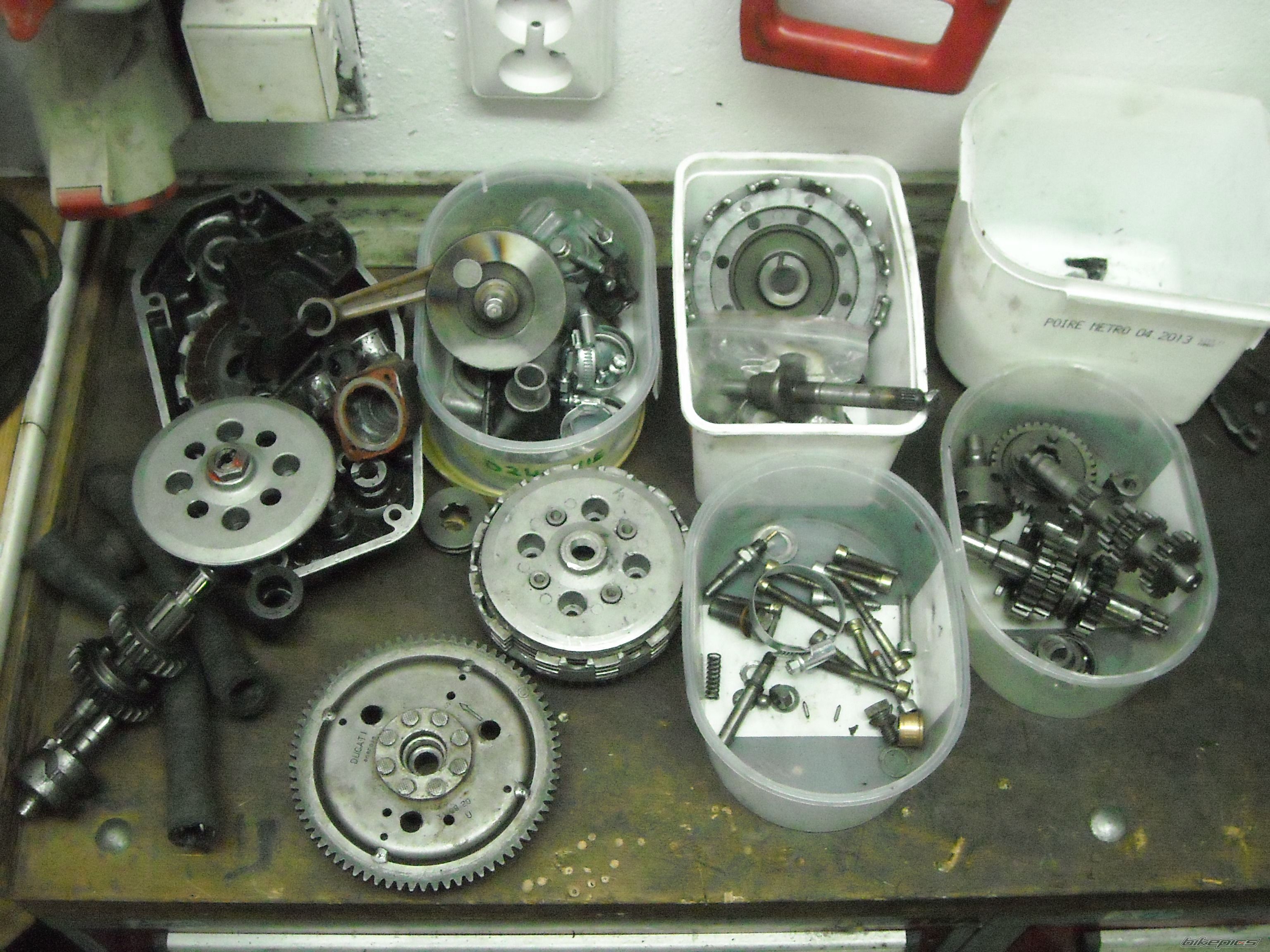 Photo 2500077