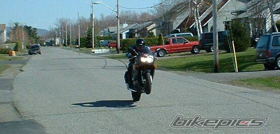 Photo 25001