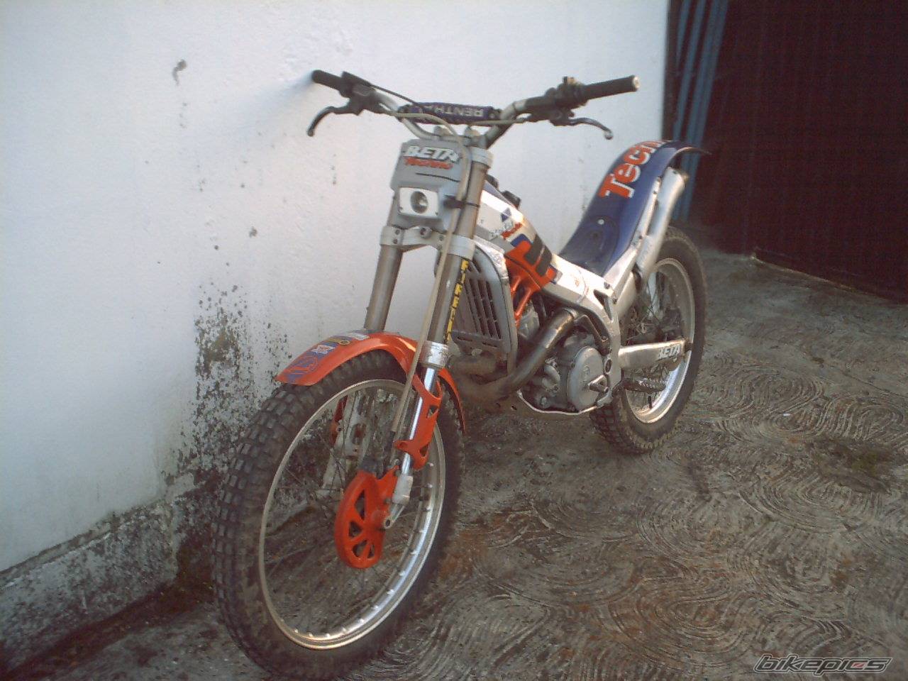 Photo 250013