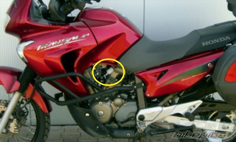 Photo 2500204
