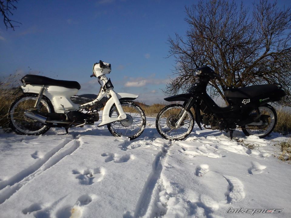 Photo 2500221