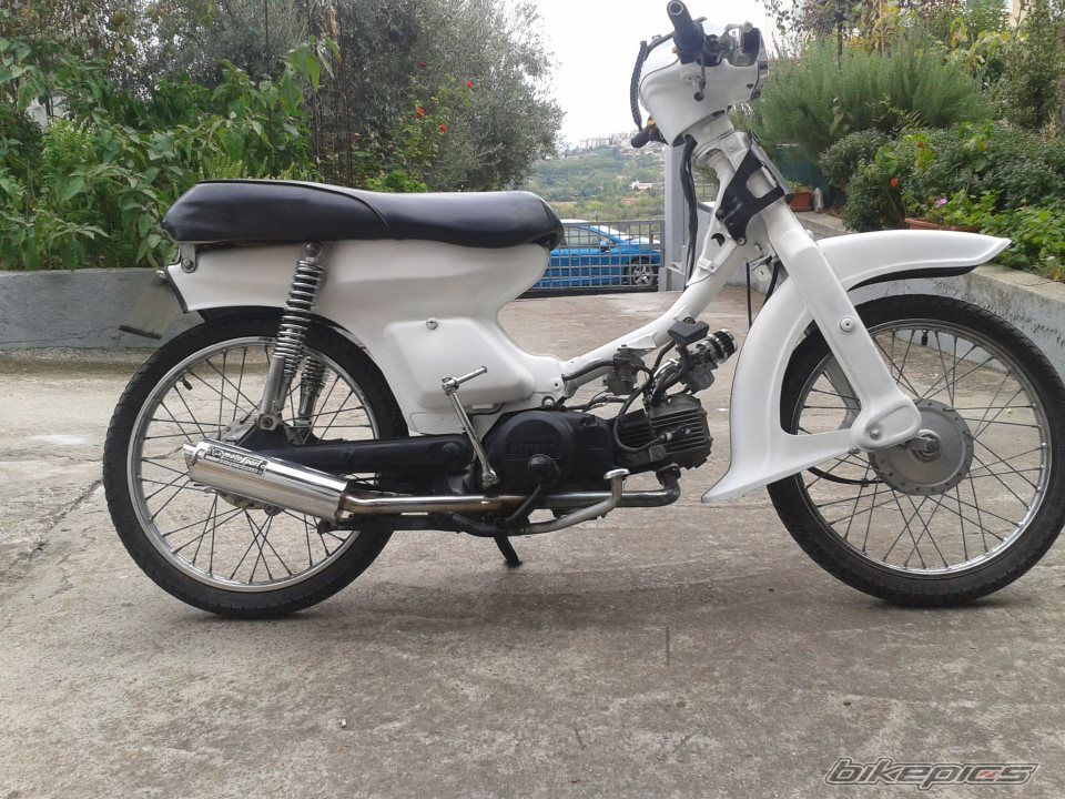 Photo 2500225