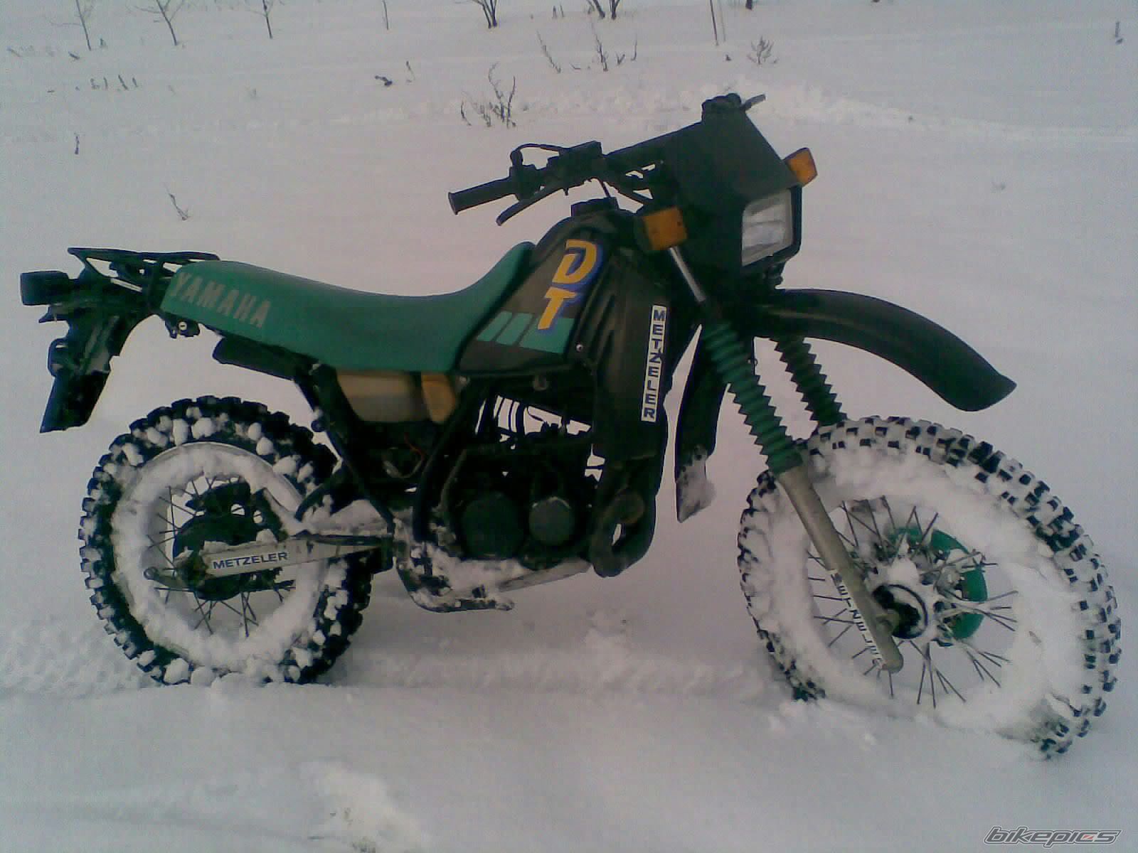 Photo 2500379