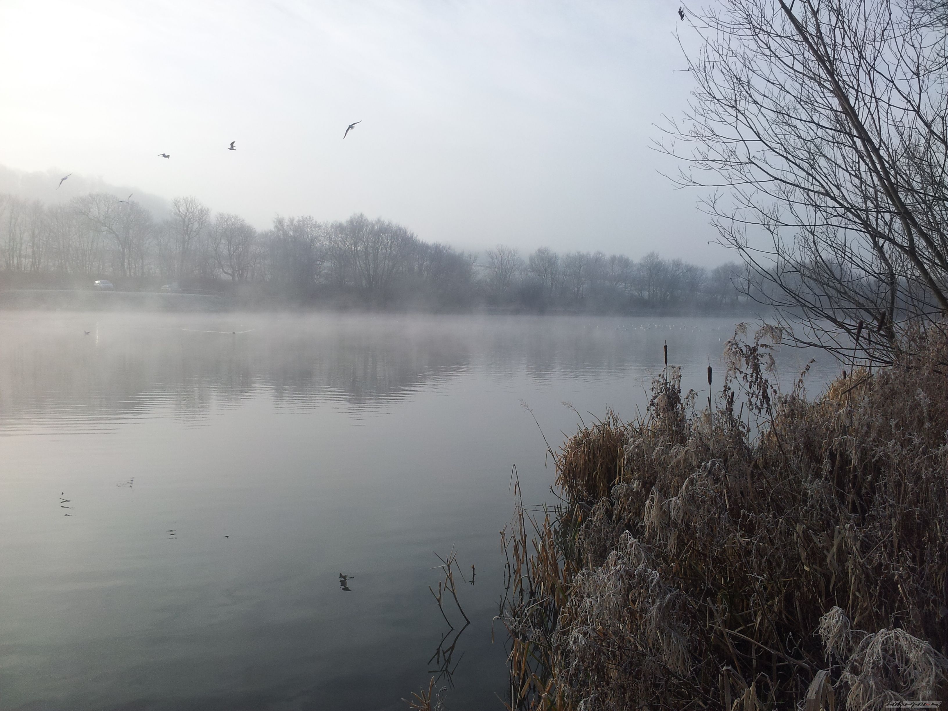Photo 2500452