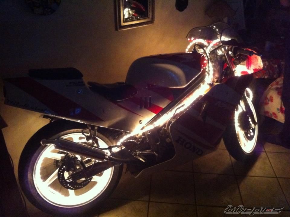 Photo 2500467