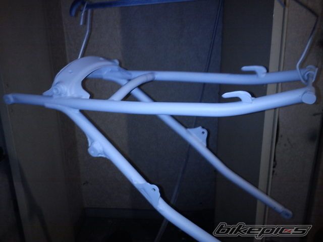 Photo 2500541