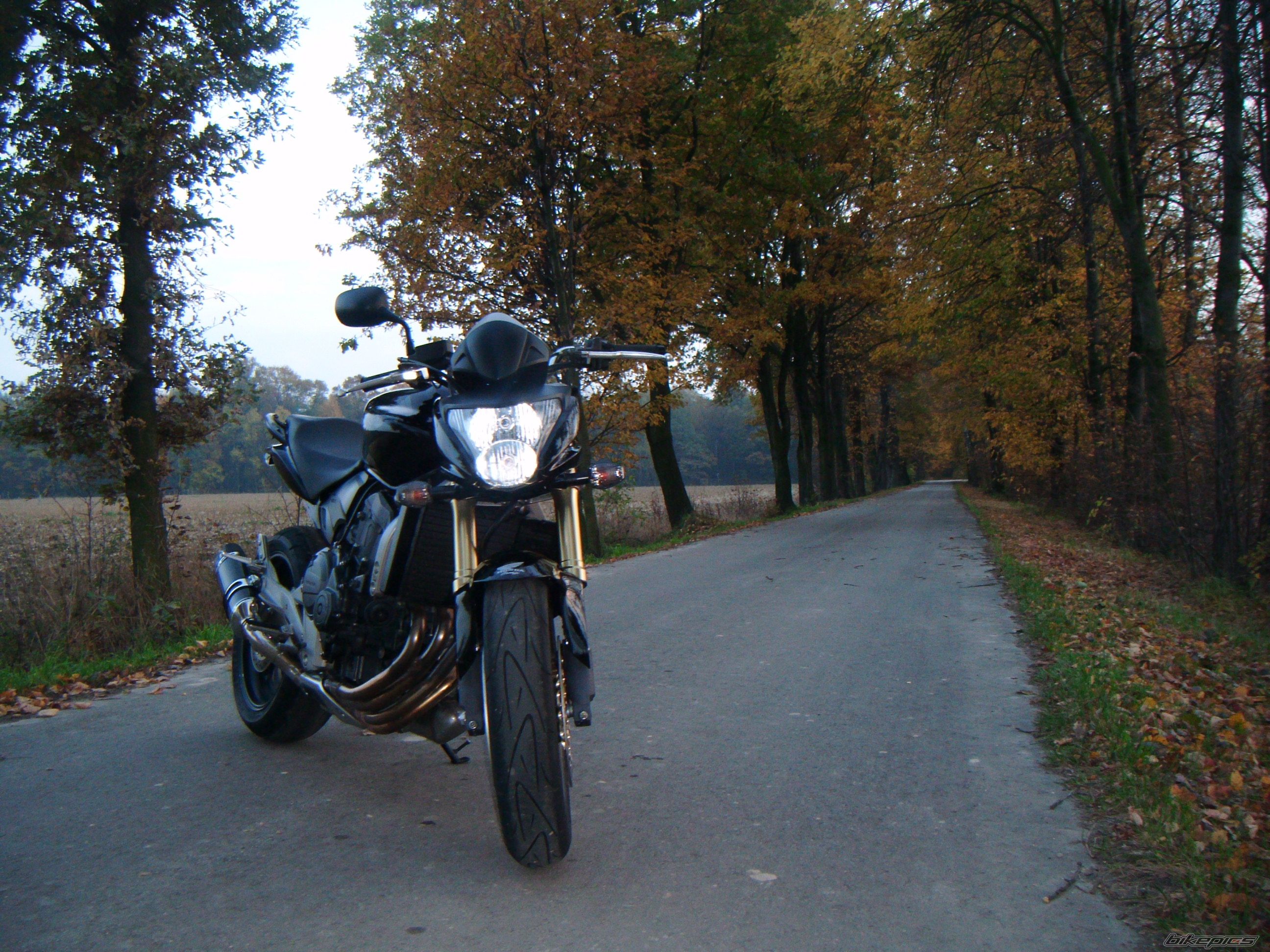 Photo 2500624
