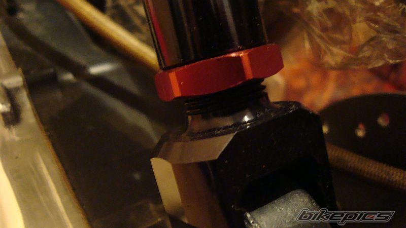 Photo 2500733