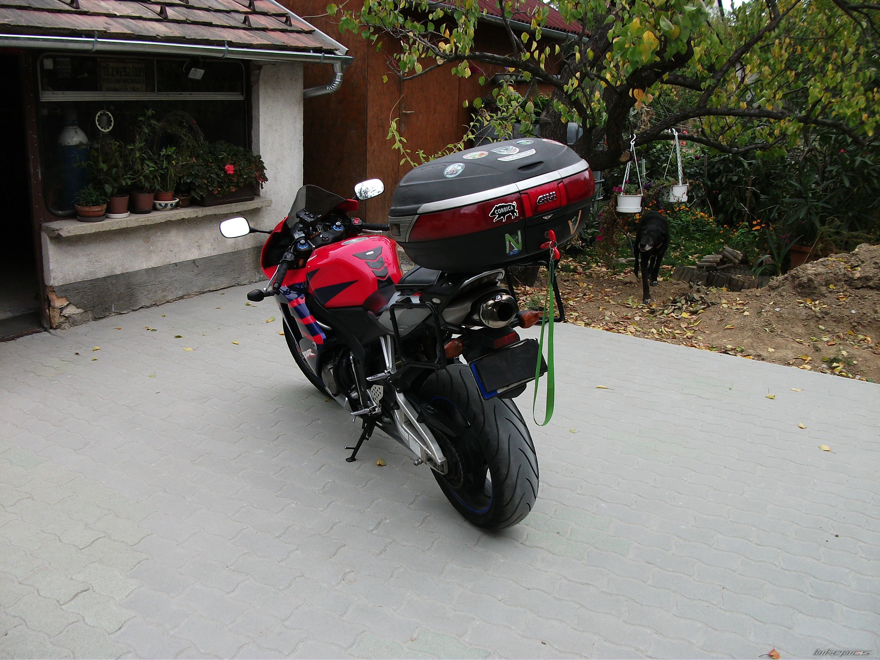 Photo 2501043