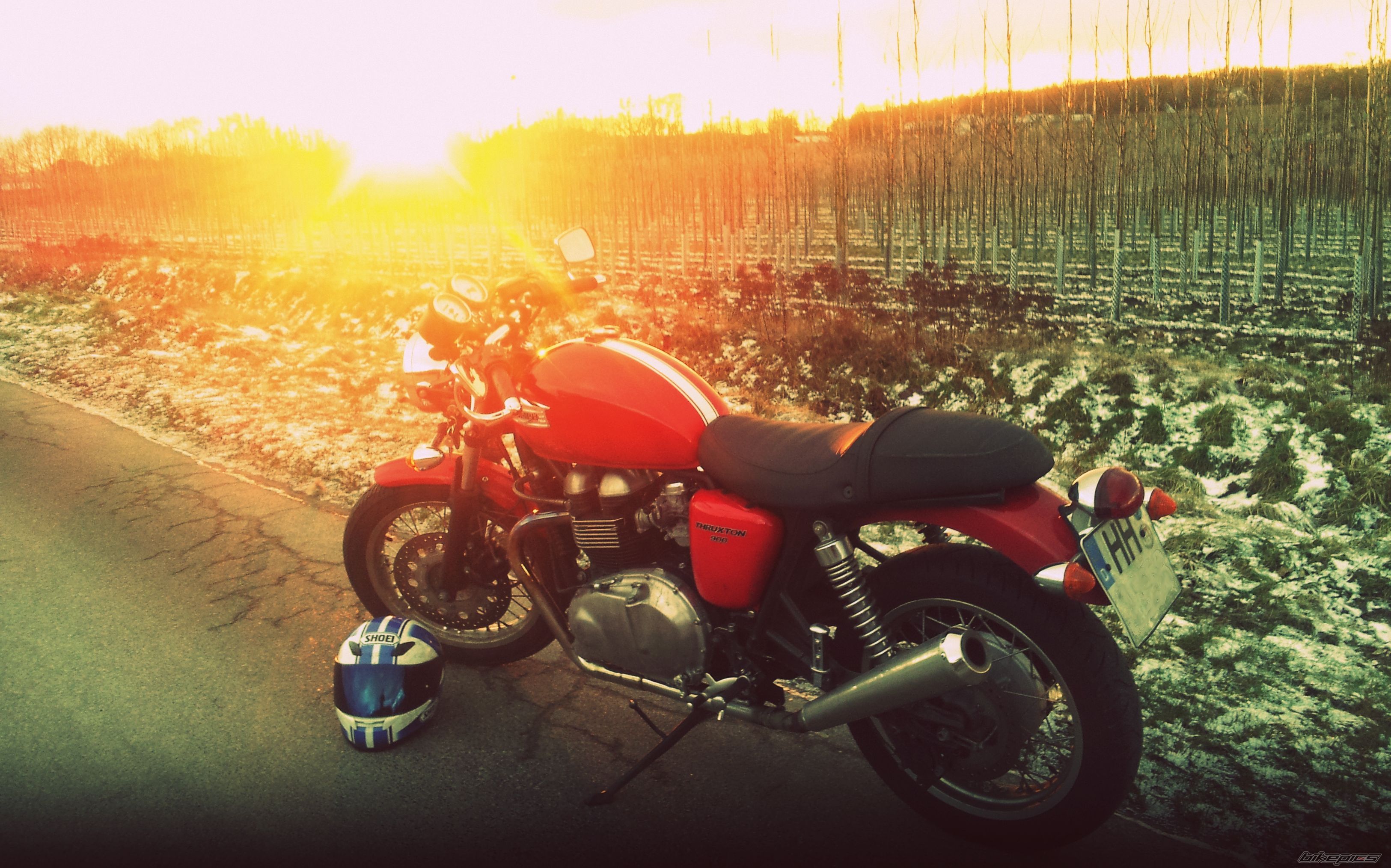 Bike Photo 2501061