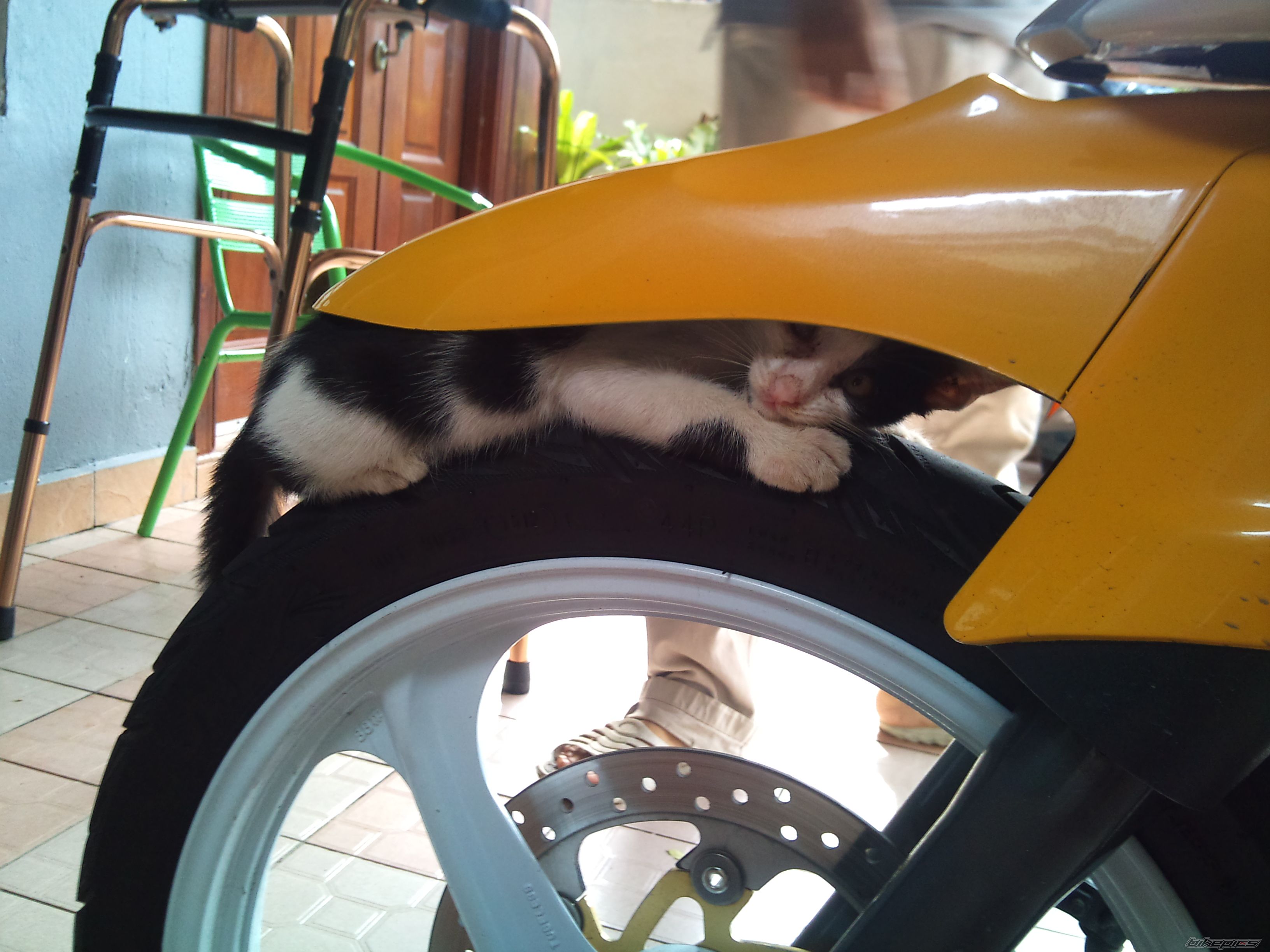 Bike Photo 2501074