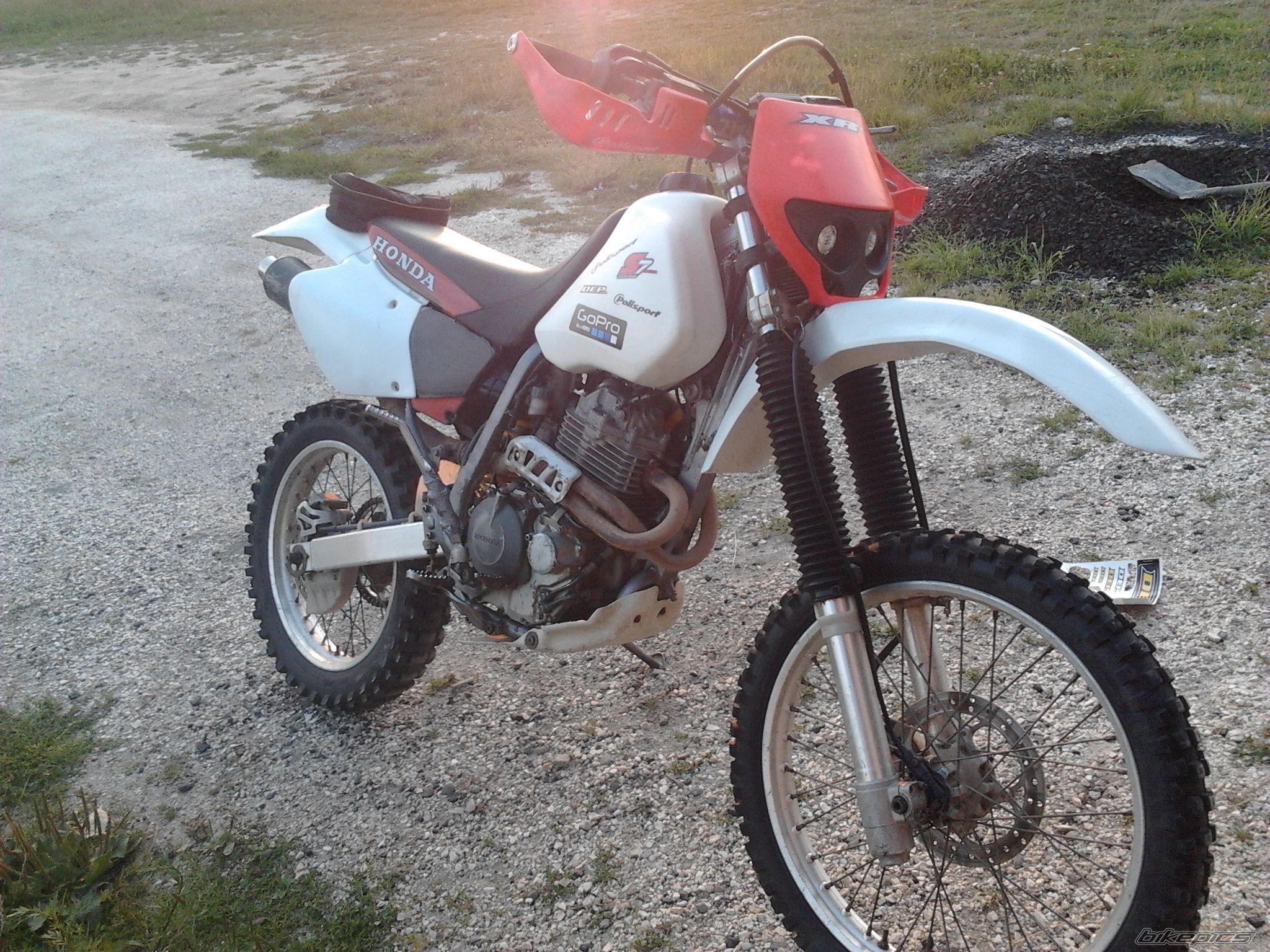 Photo 2501313