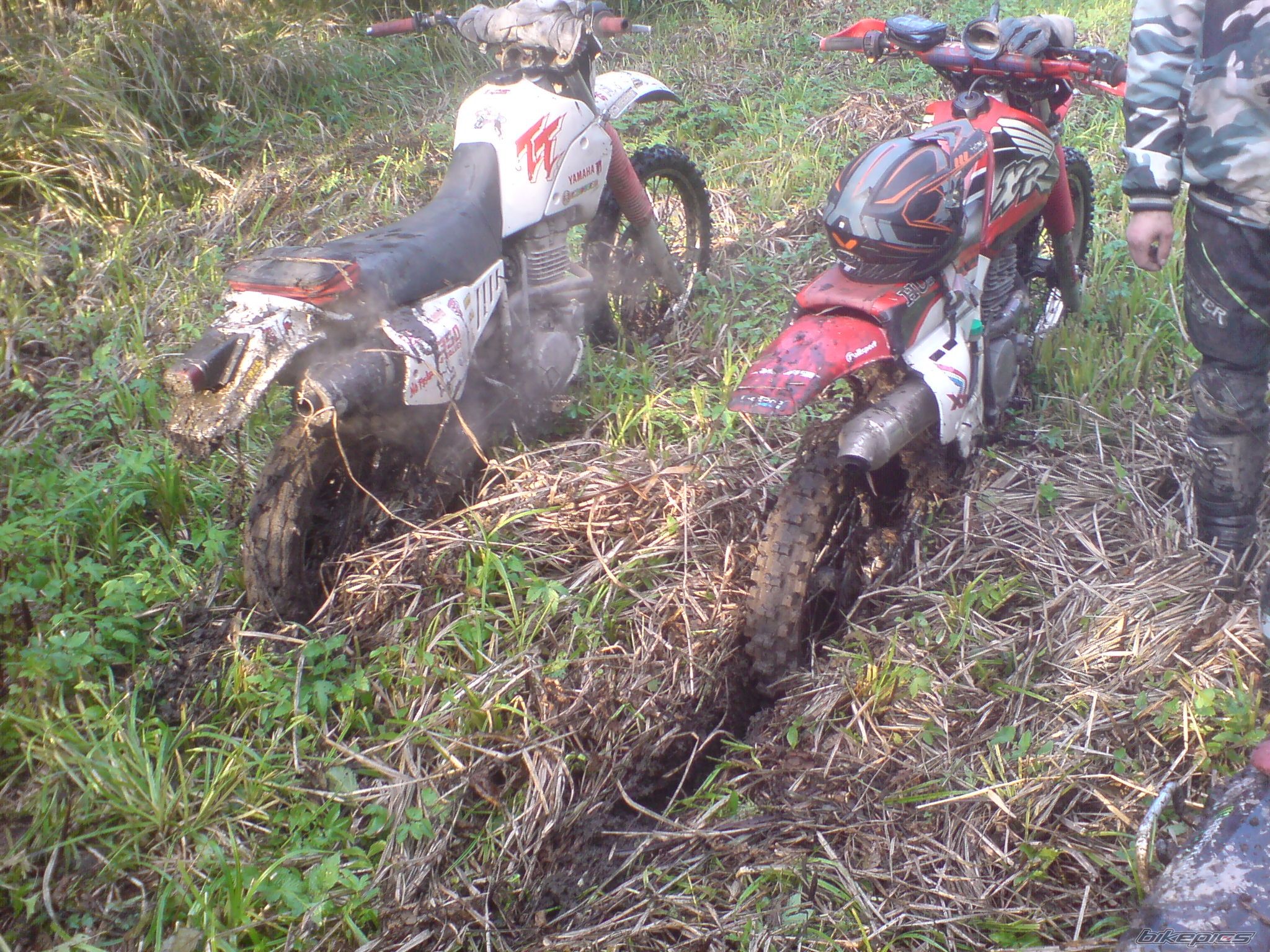 Photo 2501330