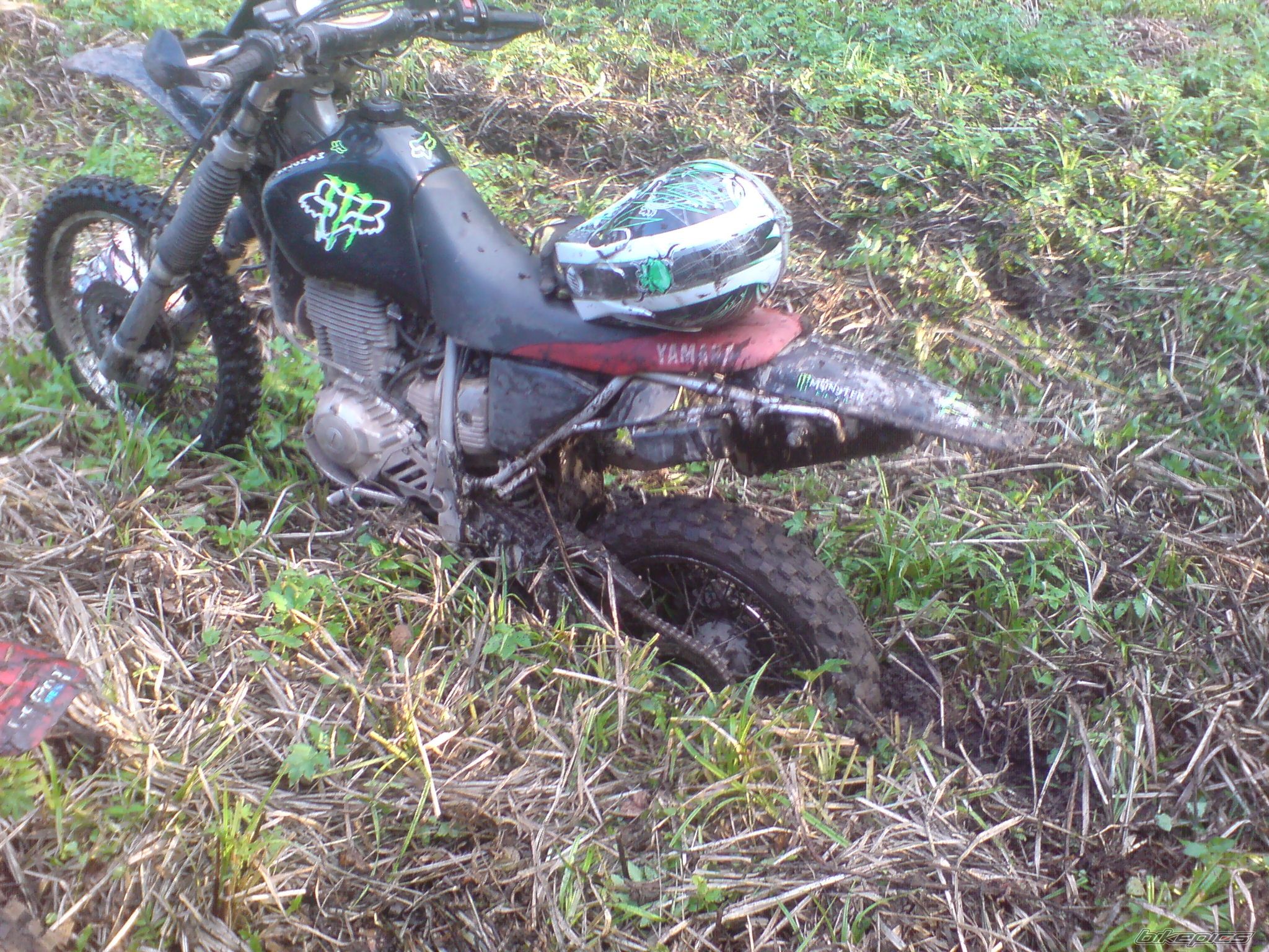Photo 2501331