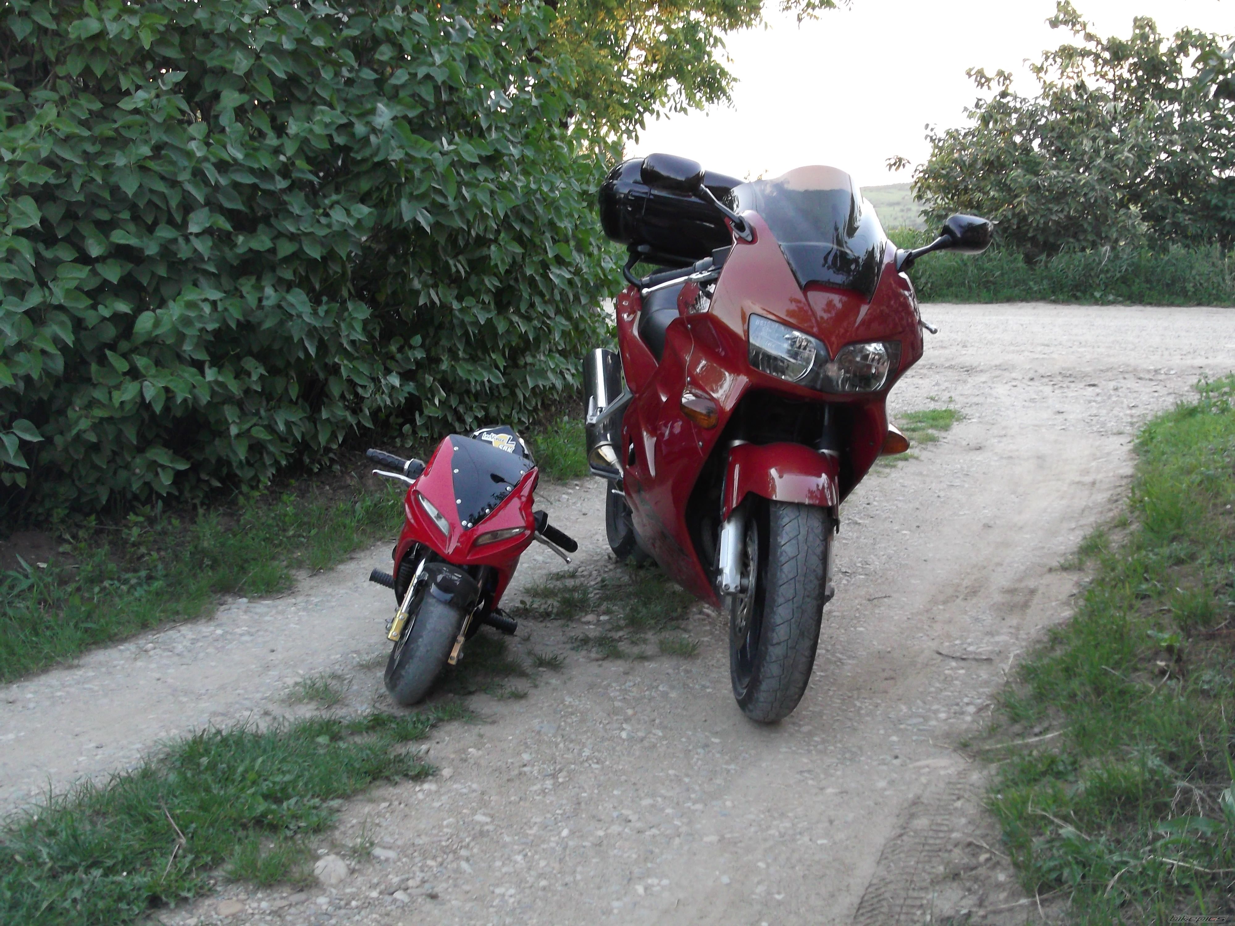 Photo 2501423