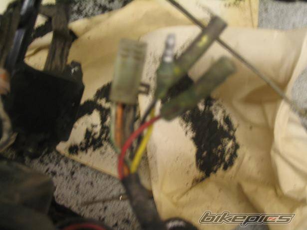 Bike Photo 250147