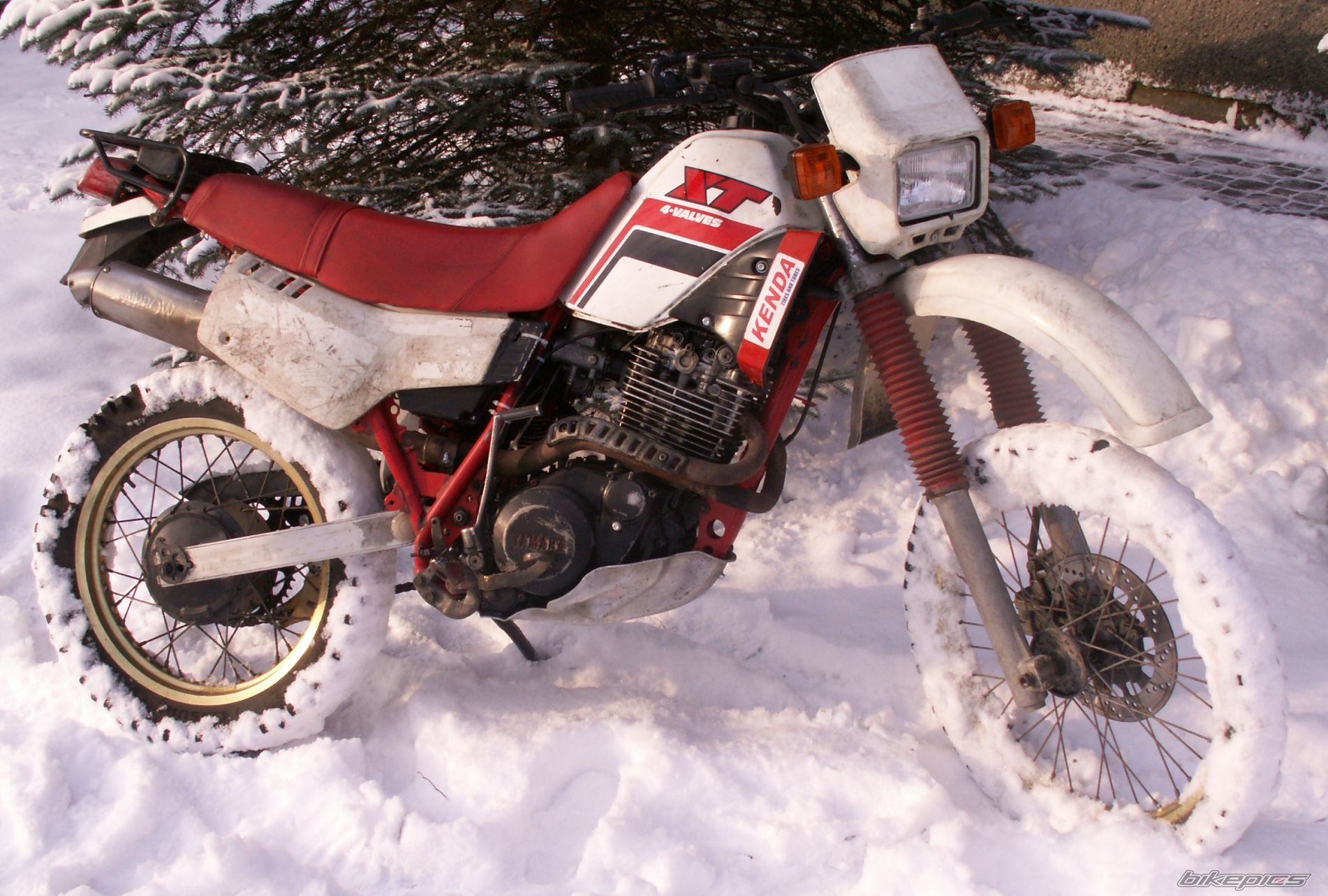 Bike Photo 2501484