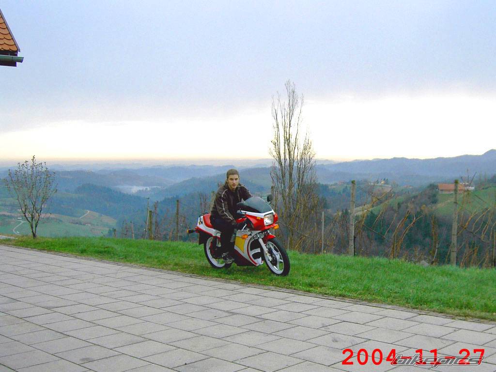 Photo 250165