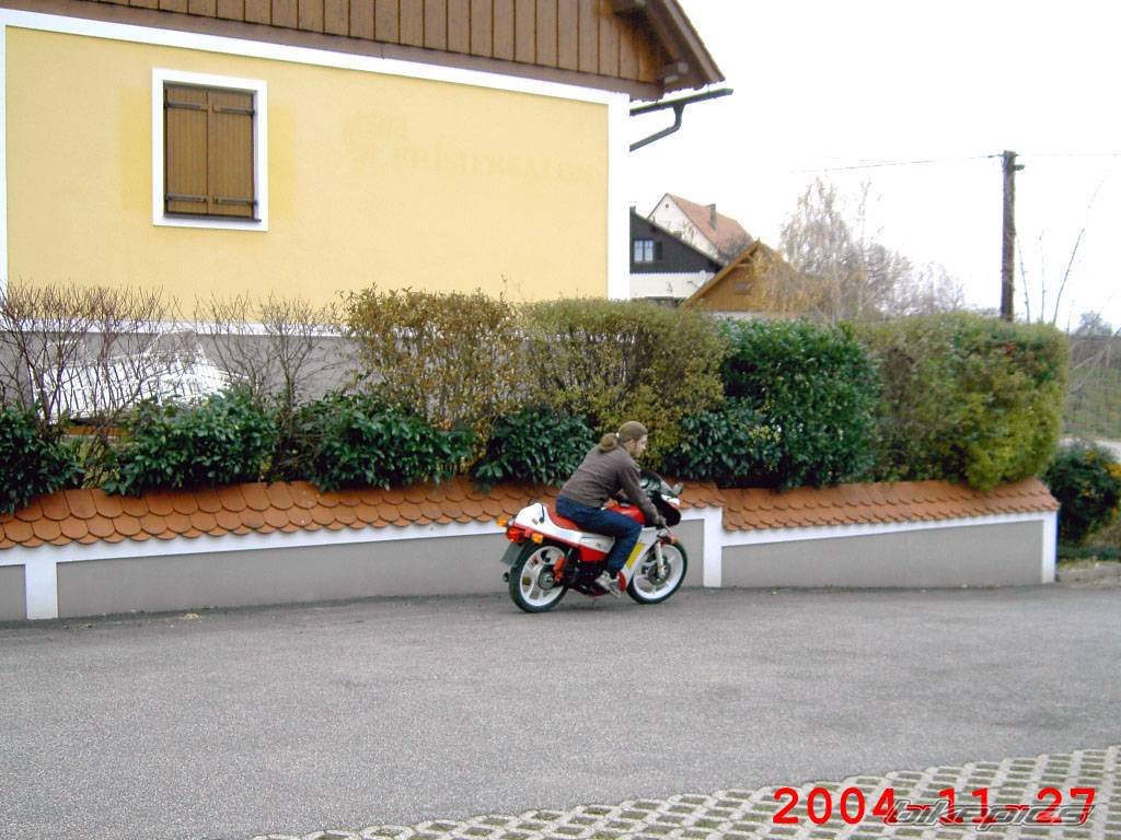 Photo 250166