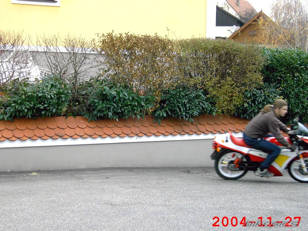 Photo 250169