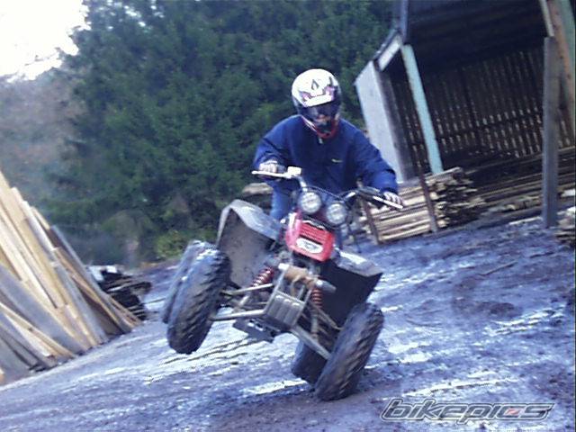 Photo 250214