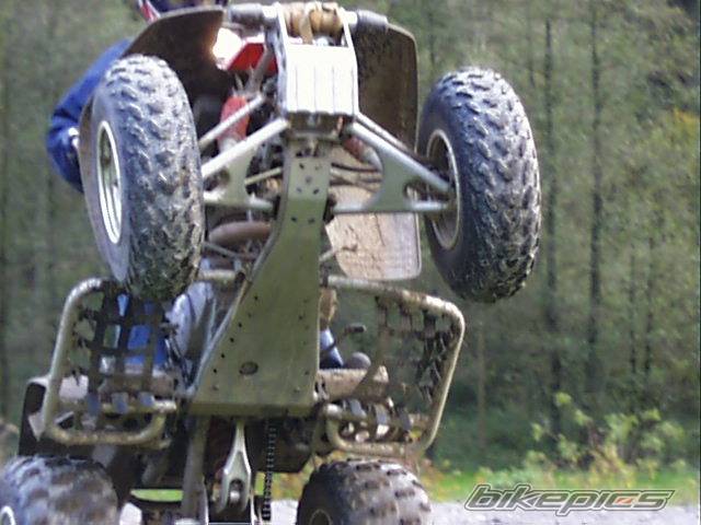 Photo 250229
