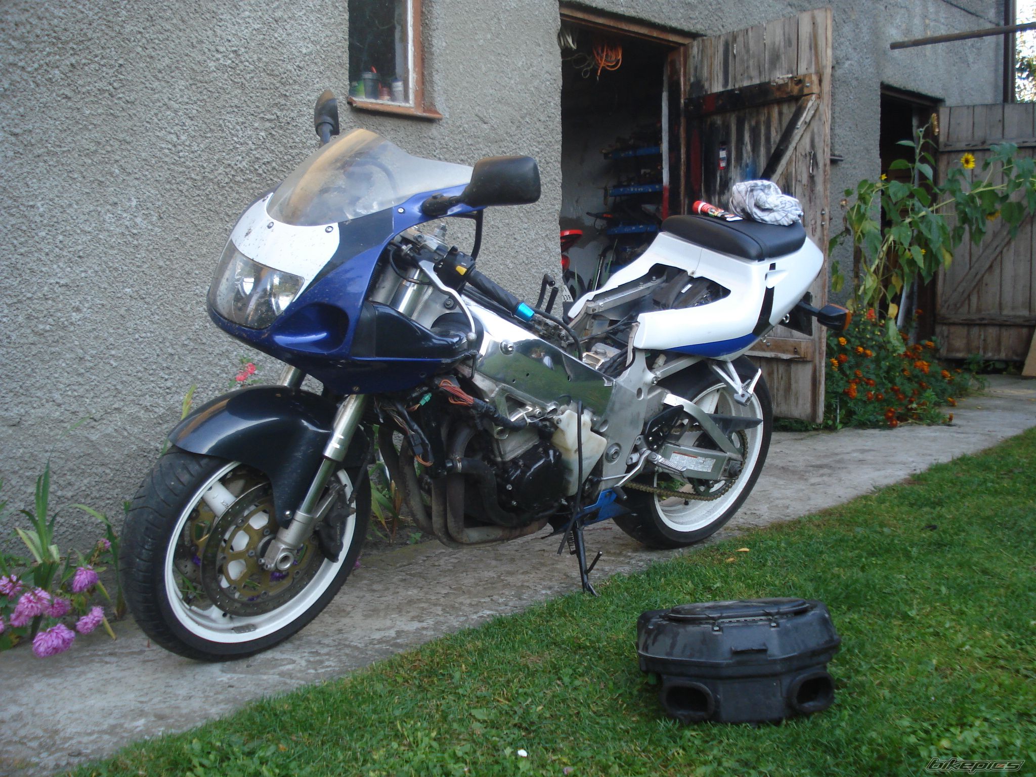 Photo 2502294