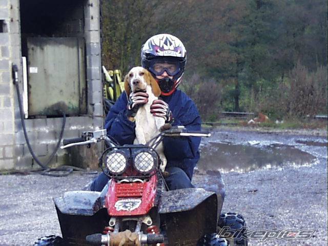 Photo 250234