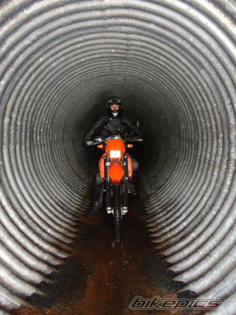 Photo 2502353