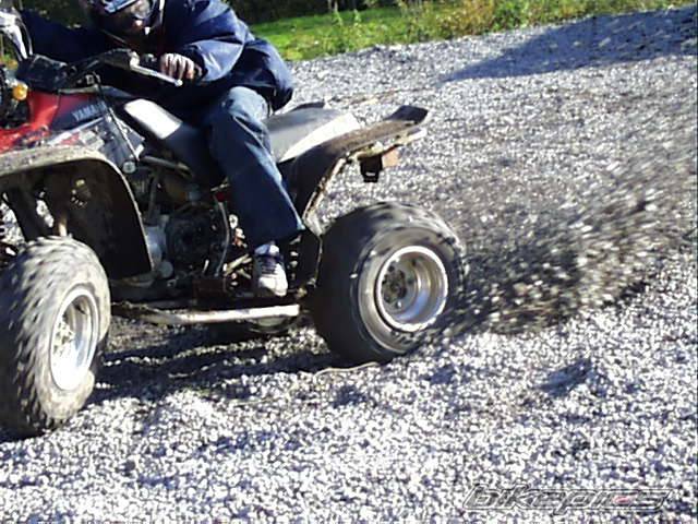 Photo 250239